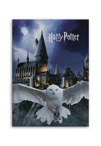 Harry Potter fleecedecke Hedwig & Hogwarts 110 x 150 cm blau