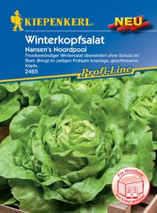 KIEPENKERL® Winterkopfsalat Nansens Noordpool - Gemüsesamen