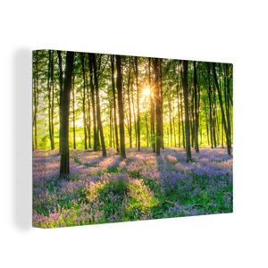 OneMillionCanvasses® - Leinwandbilder - Bild auf Leinwand Wandbild Leinwandbild Frühling - Wald - Sonne, 90x60 cm, Kunstdruck Wandkunst Gemälde auf Holzrahmen  - Leinwänden - Fotoleinwand