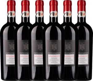VINELLO 6er Weinpaket - Appassimento 2020 - Conte di Campiano