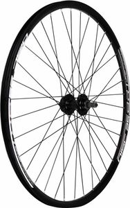Bonin 29´´ Disc-25 Mtb Hinterrad Silber 12 x 142 mm Silber 12 x 142 mm
