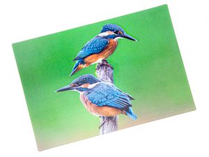 3 D Ansichtskarte Eisvögel, Eisvogel Postkarte Wackelkarte Hologrammkarte Tiere