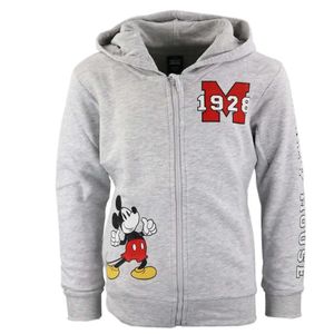 Disney Mickey Maus Kinder Jungen Reißverschluss Jacke Sweater Pulli mit Kapuze – Grau / 110/116