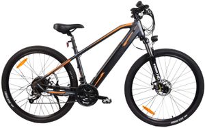 E-Bike Elektrofahrrad “Advance X1“ 29 Zoll Pedelec E-Fahrrad Fahrrad Elektro mit integriertem Akku