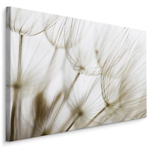 Fabelhafte Canvas LEINWAND BILDER 120x80 cm XXL Kunstdruck Natur Blumen Pusteblume