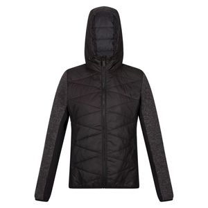 Regatta - "Pemble IV" Softshelljacke Hybrid für Damen RG8292 (36 DE) (Schwarz)