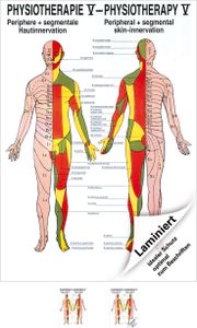 Hautinnervation Poster Anatomie 70x50 cm medizinische Lehrmittel