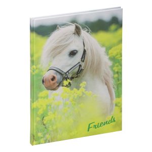 PAGNA Freundebuch "Kleines Pony" 120 g/qm 60 Blatt