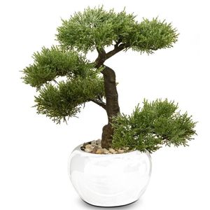 Drzewko bonsai w doniczce z drzewa iglastego