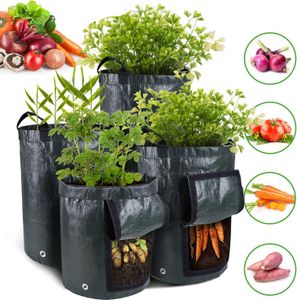 5 Stück Pflanztasche Kartoffel Tomaten Erdnüsse Pflanzsack PE-Stoff Atmungsaktiv Dauerhaft Pflanzbeutel mit Tragegriffen (3 Gallon, Grün)