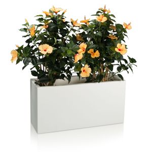 Pflanztrog VISIO 40 Kunststoff Blumenkübel, 80x30x40 cm (L/B/H), Farbe: weiß matt