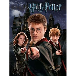 Harry Potter - Leinwanddruck PM3344 (40 cm x 30 cm) (Grau/Schwarz)