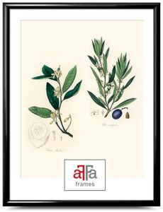aFFa frames, Plastik Bilderrahmen, Acrylglasfront, Fotorahmen, Posterrahmen, Schwarz, 40x50 cm