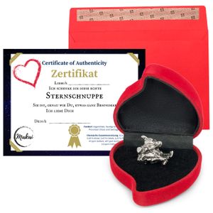 Makai echter Meteorit ca. 15 Gramm Sternschnuppe mit Echtheits-Zertifikat Geschenkkarte Herzbox individuelle personalisierbare Karte mit Widmung (Echtheitszertifikat)