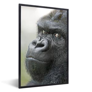 MuchoWow® Gerahmtes Poster Ein erstaunlicher Gorilla 20x30 cm - Poster mit Schwarzem Bilderrahmen Wandposter Rahmen Foto Bilder - Drucken - Bilder Poster im Rahmen