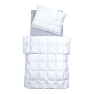 SCANquilt přikrývka celoroční EXCLUSIVE SATÉN AV/EC - hřejivost 5, 100% česaná bavlna s úpravou ALOE VERA a EASY CARE, 140 x 200 cm, běžná délka SCANquilt přikrývka celoroční EXCLUSIVE SATÉN AV/EC - hřejivost 5, 100% česaná bavlna s úpravou ALOE VERA a EASY CARE, 140 x 200 cm, běžná délka