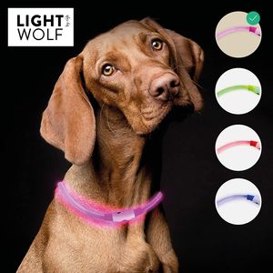 riijk LED Leuchthalsband für Hunde Katzen regenfest (Neue Technologie, kein Schlauch) Halsband USB wiederaufladbar - für mehr Sicherheit