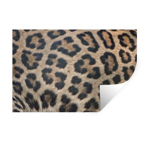 MuchoWow® Wandtattoo Wandsticker Wandaufkleber Leopardenmuster 90x60 cm Selbstklebend und Repositionierbar - Aufkleber