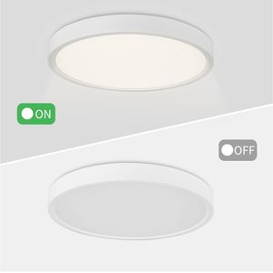 LED Deckenleuchte , Ultraslim Deckenlampe, Wohnzimmer Wandlampe 24W