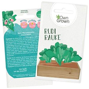 Rucola Samen für 200x Rucola Salat Pflanze Rudi Rauke: Premium Wilde Rauke Samen für Kinder und Erwachsene – Salat Samen – Garten Gemüse Saatgut für Kids – Gemüse Samen – Salatsamen von OwnGrown