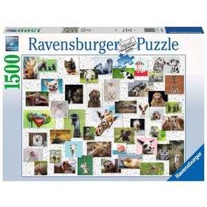 Funny Animals Collage Ravensburger 16711
