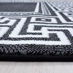 Teppium Teppich modern Designer Kurzflor Ornament Bordüre Muster Schwarz Grau Weiß, Maße:160 cm x 230 cm, Form: Rechteckig