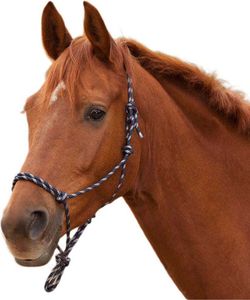 Knotenhalfter nachtblau/silber Warmblut