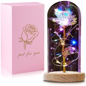 Ewige Rose im Glas, Die Schöne und das Biest Rose in Glaskuppel mit LED-Lichter Künstliche Blumen Rose, Geschenke für Geburtstag Mama Freundin Weihnachten Muttertag