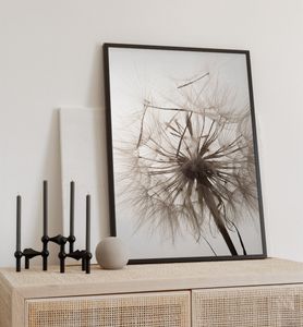 Poster seichte Pusteblume, groesse_poster:40x50 cm, groesse_rahmen:schwarz 40x50 cm