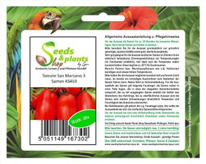 20x Tomate San Marzano 3-Tomaten Samen Gemüse Garten KS459