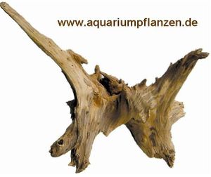 1 Kienwurzel 20-30 cm, Wurzel, Aquarium, Terrarium