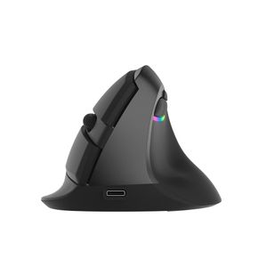 Bezdrátová myš Delux M618mini Ergonomická vertikální optická myš RGB Light Dual Mode Mouse 2,4 GHz Wireless + Bluetooth 4.0 pro PC Laptop (Iron Grey)