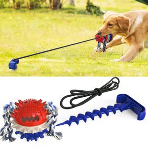 Molarenbiss Hundespielzeug Seil Ball Set für Hund für die Zahnreinigung Interaktive und Kauspielzeug Zerr- und Beutespiel