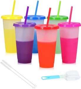 Kinderbecher 6er Pack Farbwechsel Becher Trinkbecher mit Strohhalm & Deckel, 500ML
