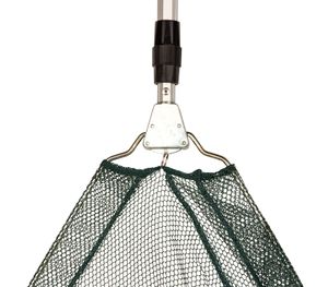 Kescher zum Angeln 130 - 202 cm lang - Teichkescher mit Teleskopstange - Angelkescher Fischkescher : Grün