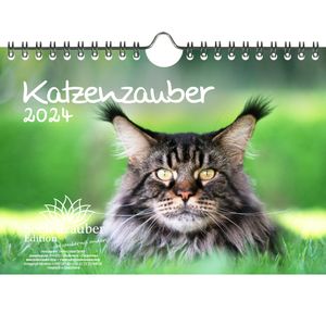 Katzenzauber DIN A5 Wandkalender für 2024 Katzen und Katzenbabys - Seelenzauber