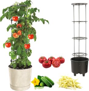 Zeleninový kvetináč popínavá paradajka uhorka fazuľa Ø40 cm krémová