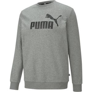 Puma Bluzy Ess Big Logo Crew, 586680, Größe: 176