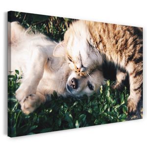 Leinwandbild (80x60cm): Cat and dog best friends Hund Tier-Bilder Katze Katzenbabies süß cute, echter Holz-Keilrahmen inkl. Aufhänger, handgefertigt in Deutschland