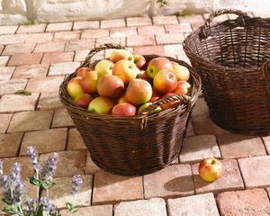 Füllkorb "Natur" aus Weide, Ø 46x26 cm, Erntekorb, Sammelkorb, Kartoffelkorb