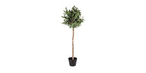 LIVARNO home Kunstpflanze, Olivenbaum 120 cm Zimmerpflanze Dekobaum Deko