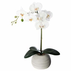 Künstliche Orchidee - Zementtopf - H53 cm - Atmosphera créateur d'intérieur