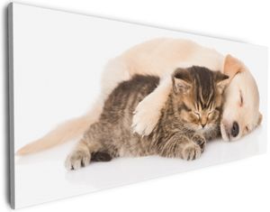 Wallario Premium Leinwandbild Katze und Hund in Harmonie - Kuschelnde Tiere in Größe 50 x 125 cm