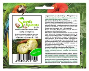 10x Luffa cylindrica Schwammkürbis Garten Pflanzen - Samen B1739