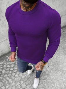 Ozonee Herren Sweatshirt Florentine lila L