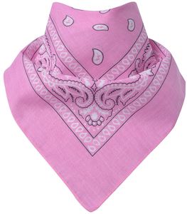 Bandana Paisley Rosa