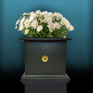 abc HOME | Pflanzkübel | anthrazit | pulverbeschichtet | Gummifüße | 49 cm B