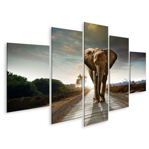 Elefanten kaufen Bilder online günstig