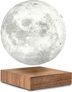 Lampa "Moon", orech - Gingko