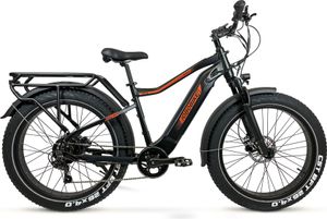 E-Bike JOBOBIKE ELEKTROFAHRRAD APEX 26 x 4 ZOLL HYDRAULISCHE BREMSEN
